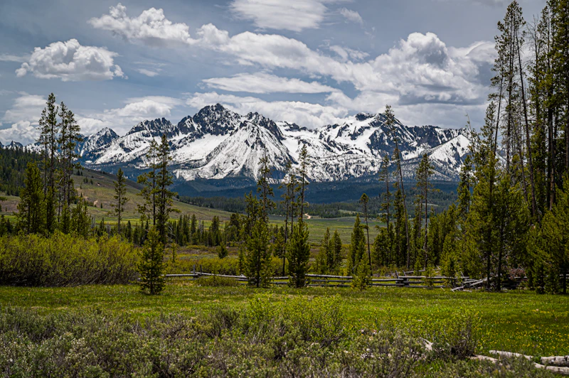 Sawtooth NF Dawn Best 5094