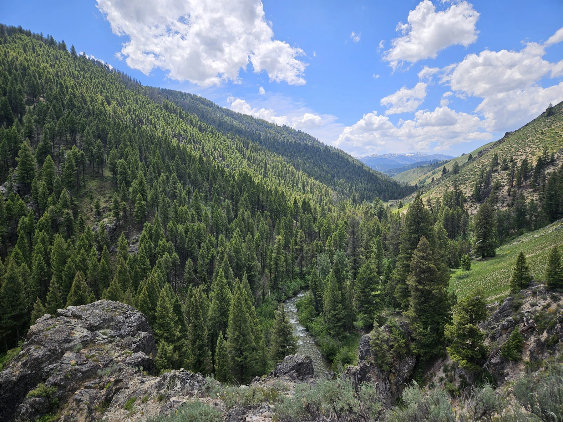 River through evergreen mountain sides.