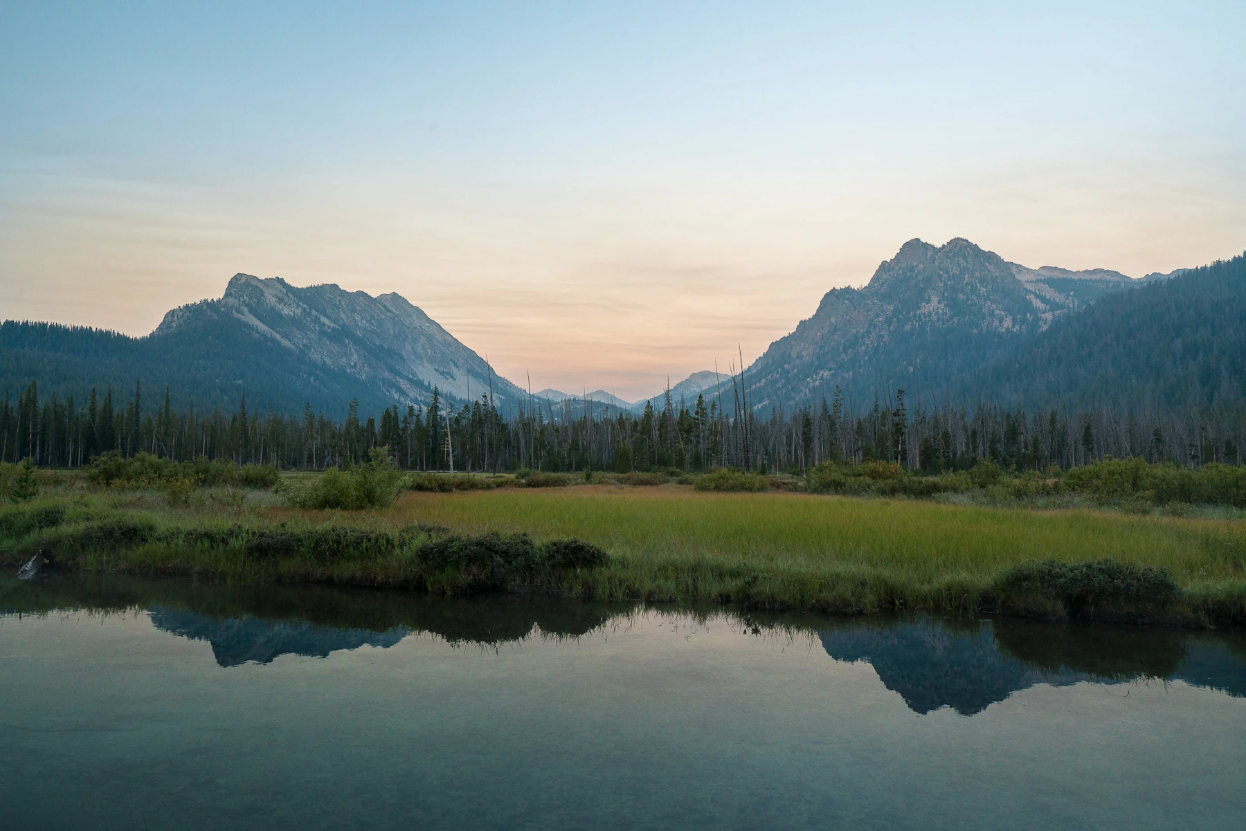 Sawtooth Nf Mark Solon