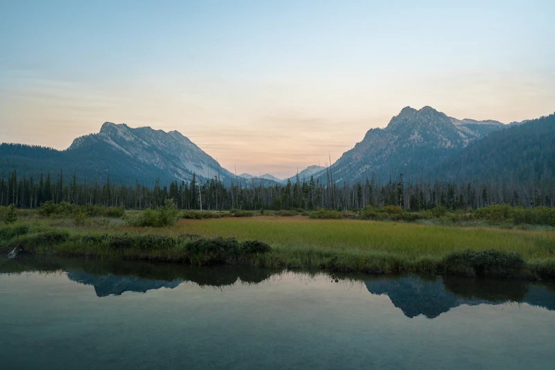 Sawtooth Nf Mark Solon