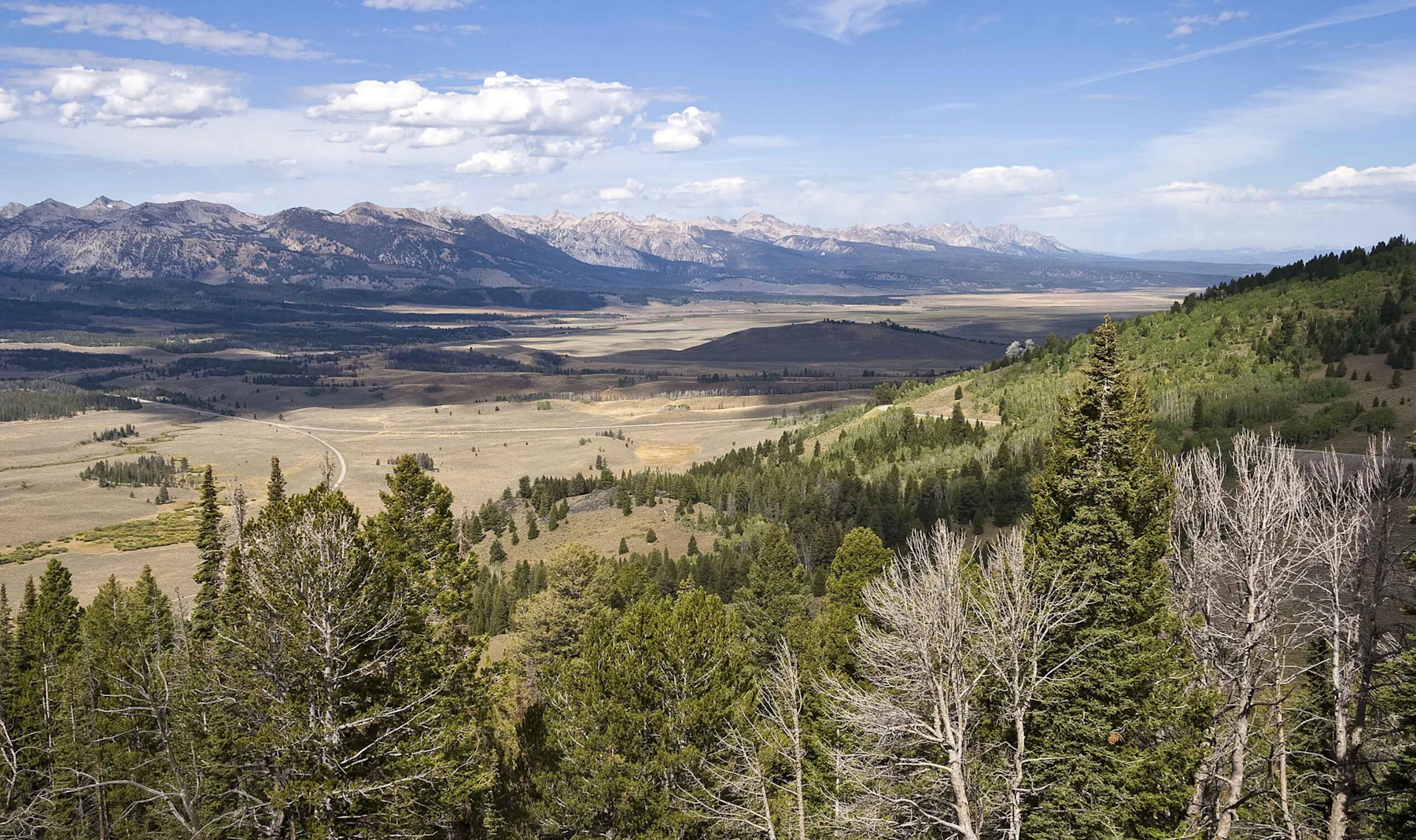 Sawtooth Valley ID1