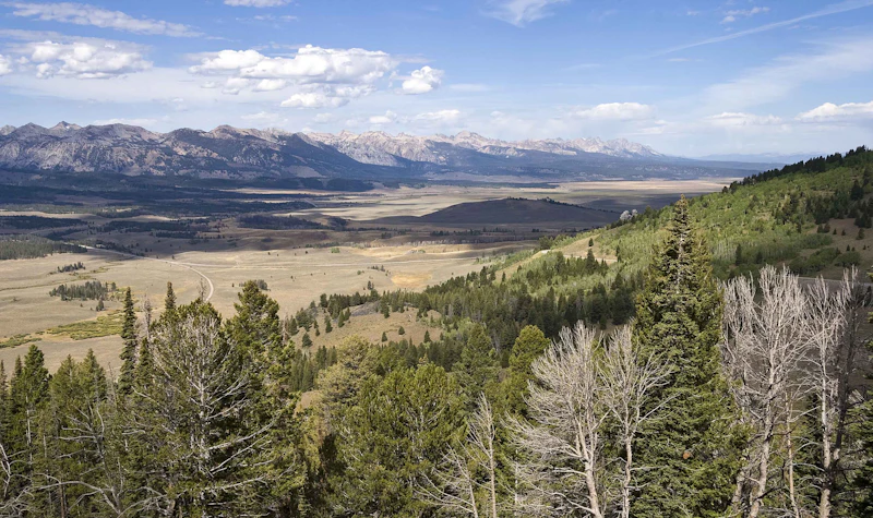 Sawtooth Valley ID1