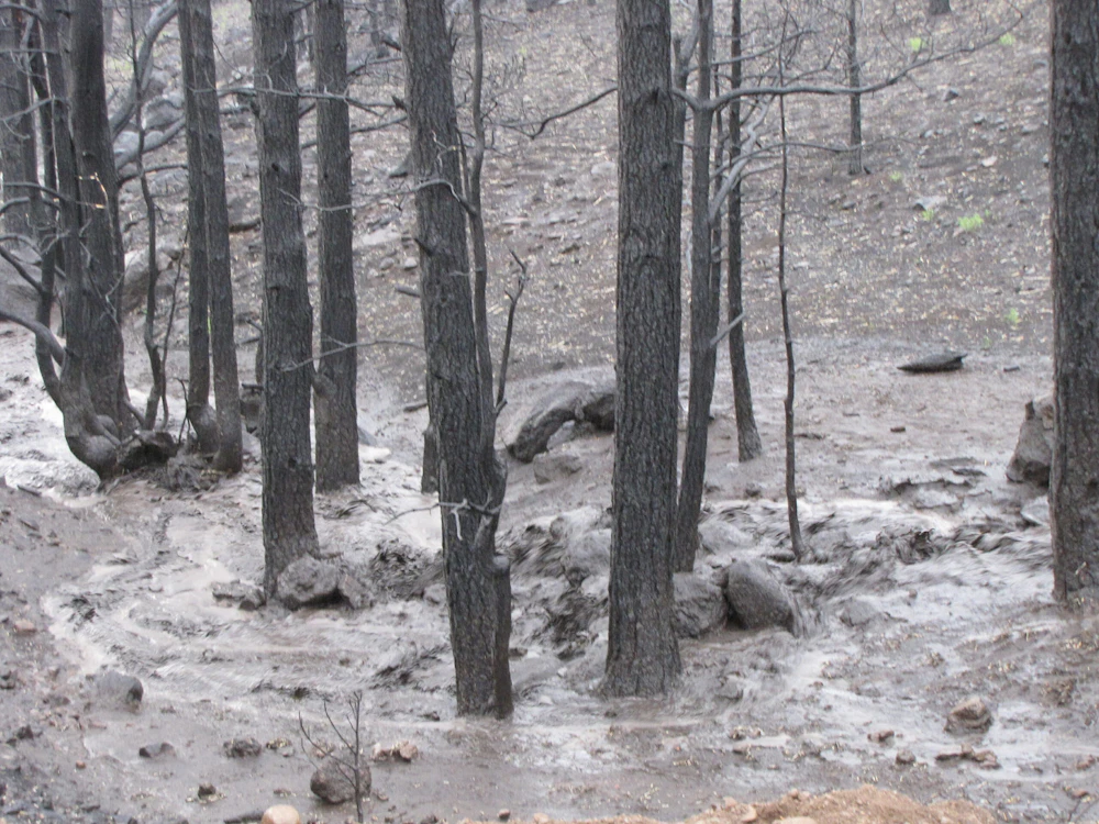 Schultz Canyon Post Fire 2