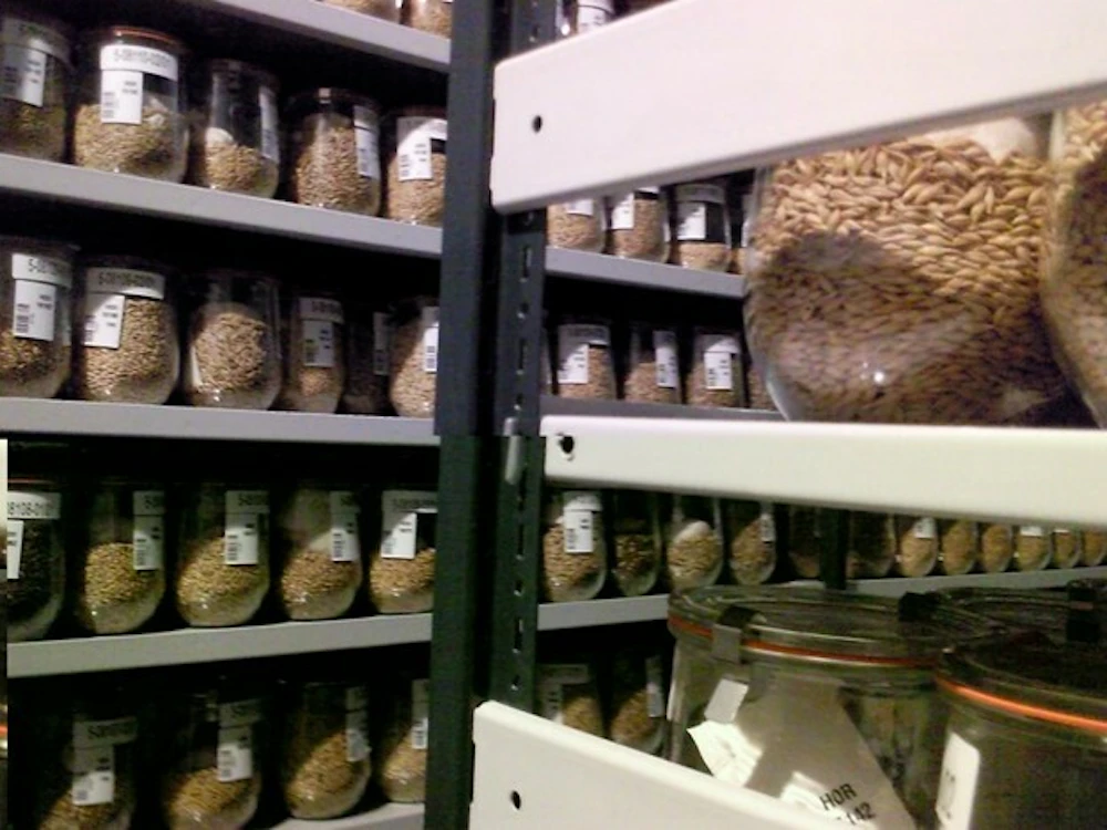 Seedbank Public Image
