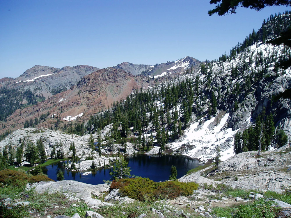 Shasta-Trinity-NF 4 Nerissa