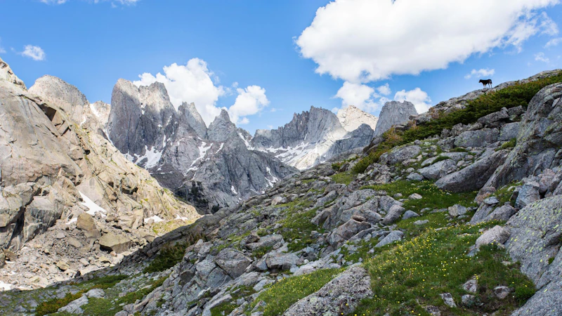 Rocky peaks.