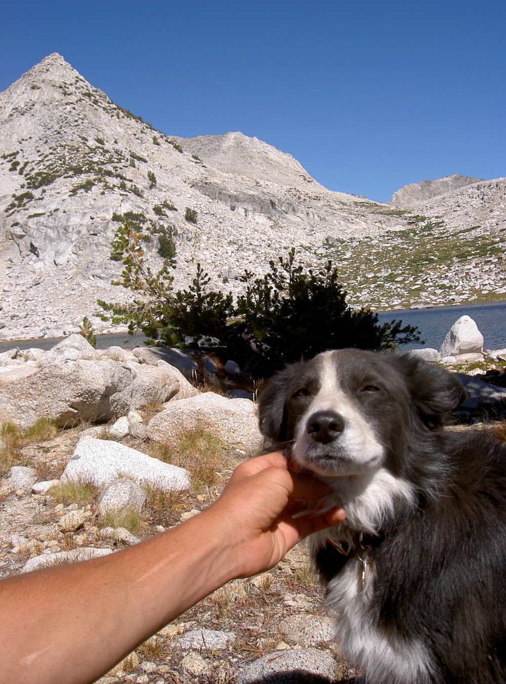 Sierra Nf Wes Swaffar 12