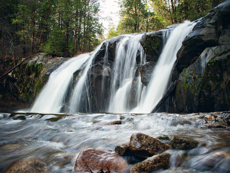 a creek cascades down into a pool