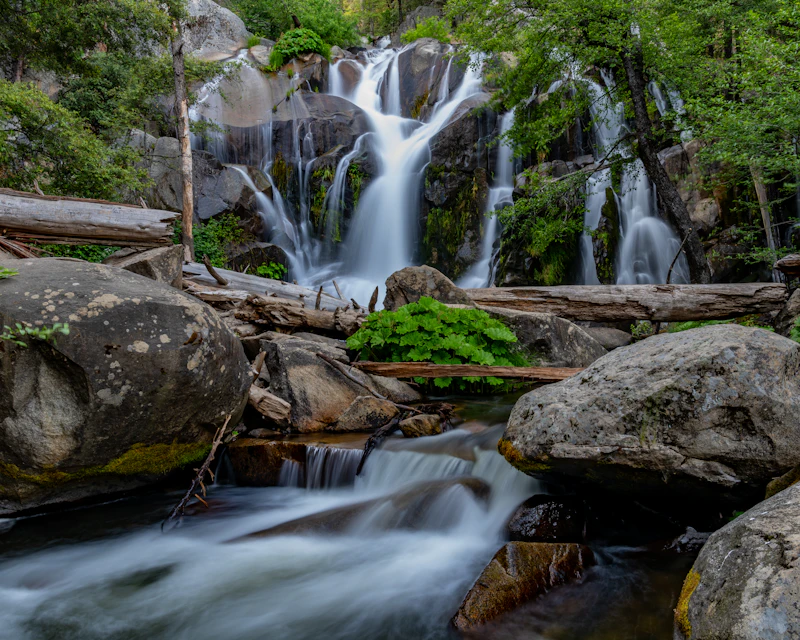 small waterfalls cascade into a creek in the forest
