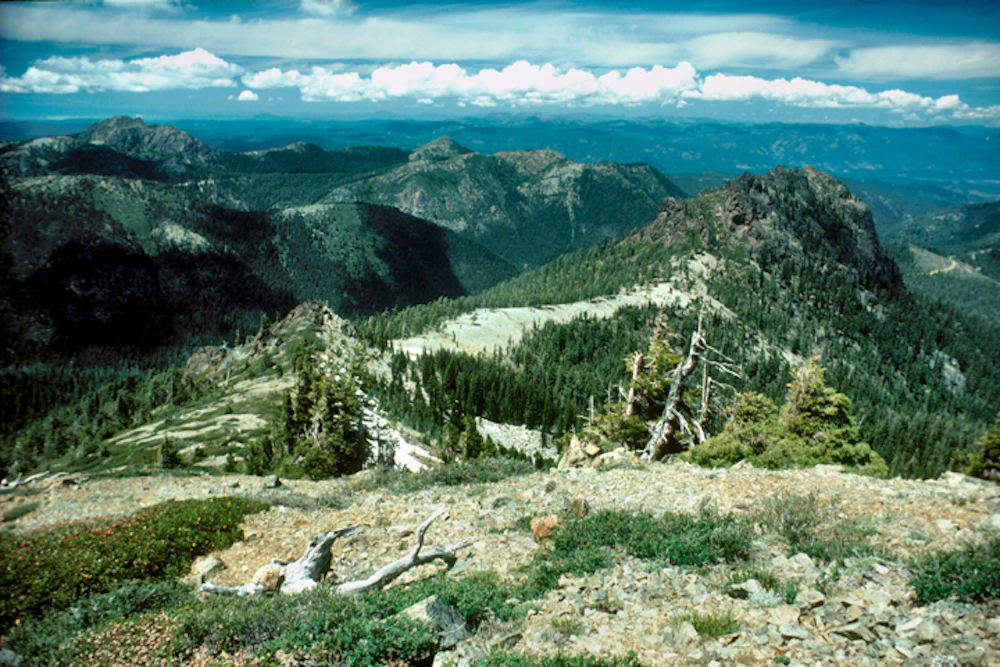 Siskiyou-Wilderness Lee-WEbb