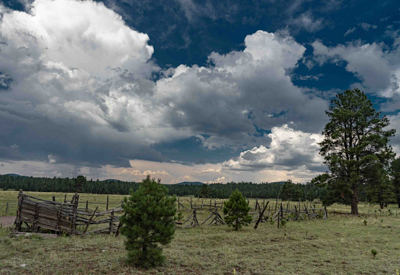 High country pasture and monsoon