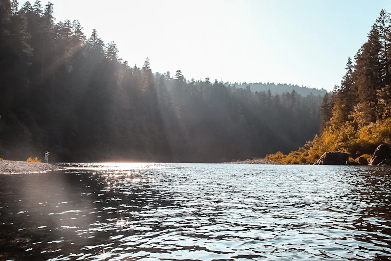 Boy stands at the water's edge.