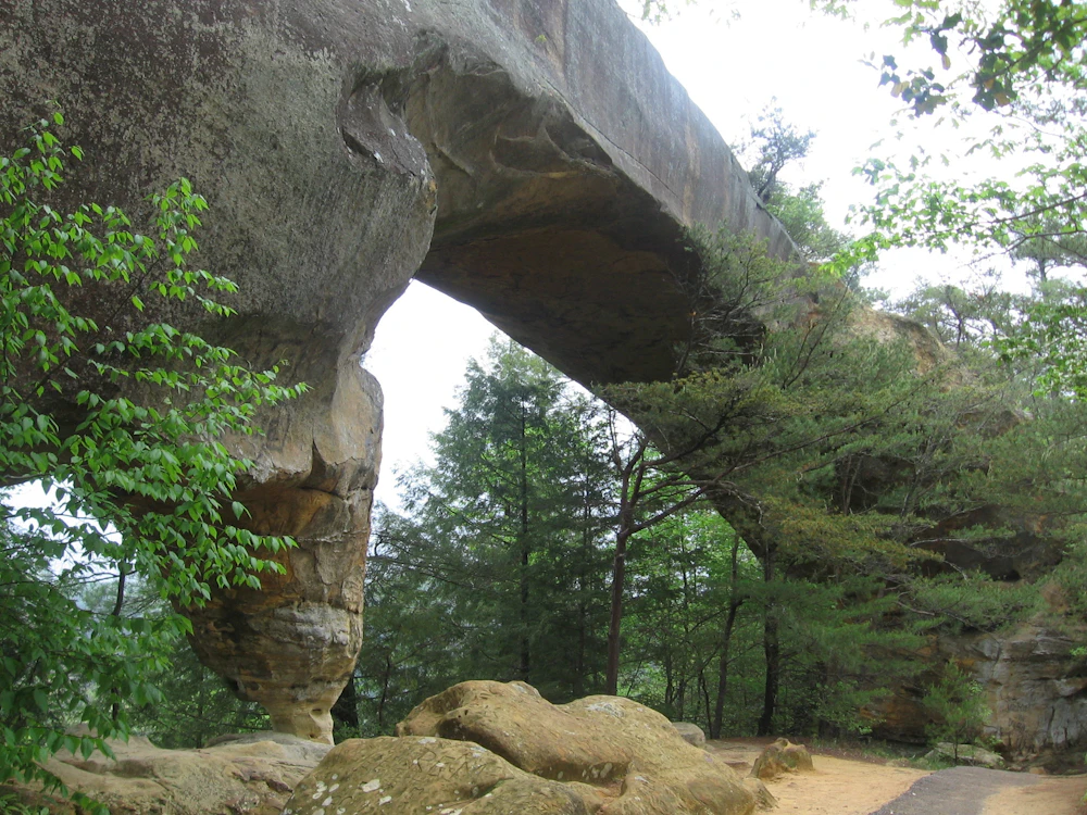 Sky Bridge