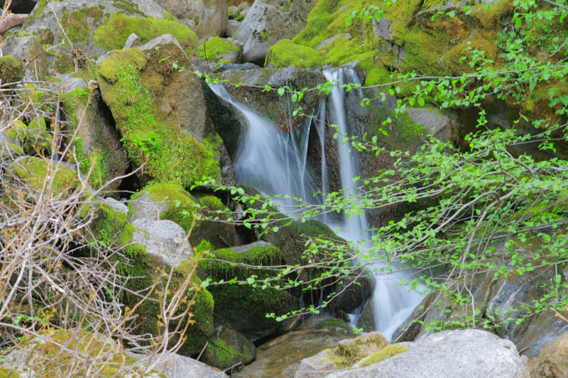 a small creek waterfall in the forest