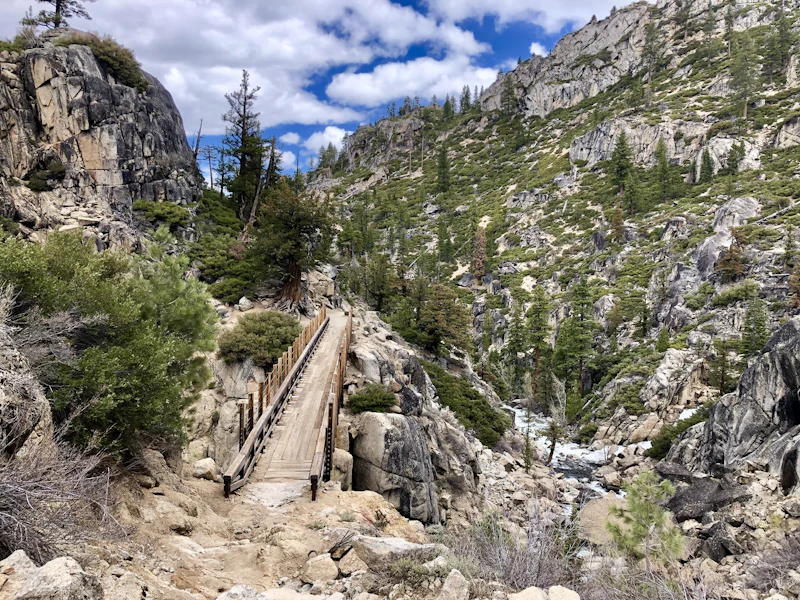 a large wooden hiking bridge in the backcountry forest