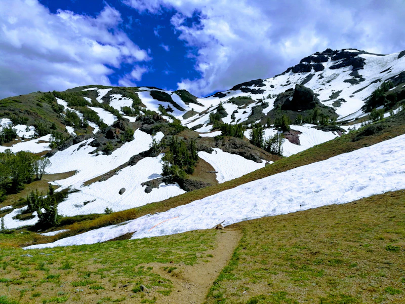 a trail in high alpine setting with grass and snow