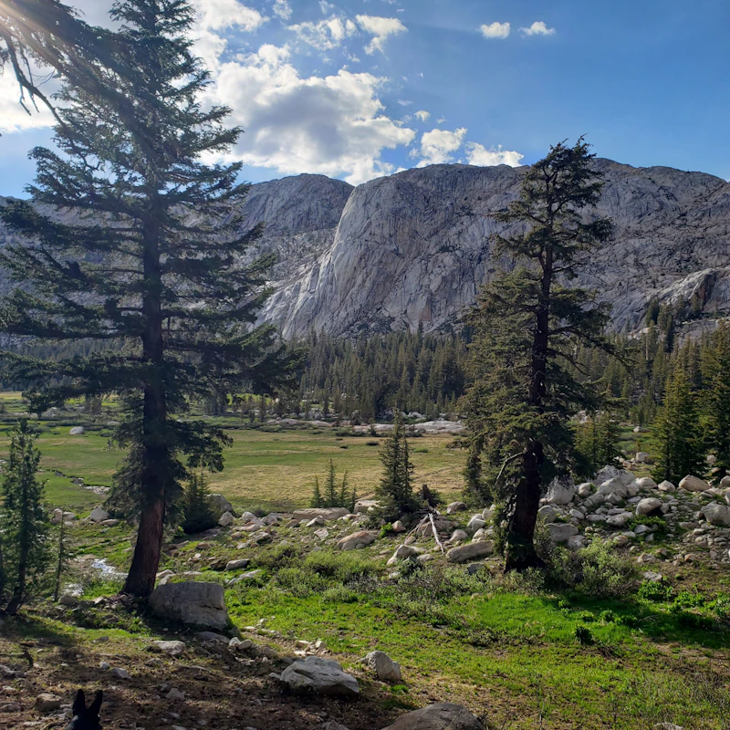 a mountain ridge and meadow