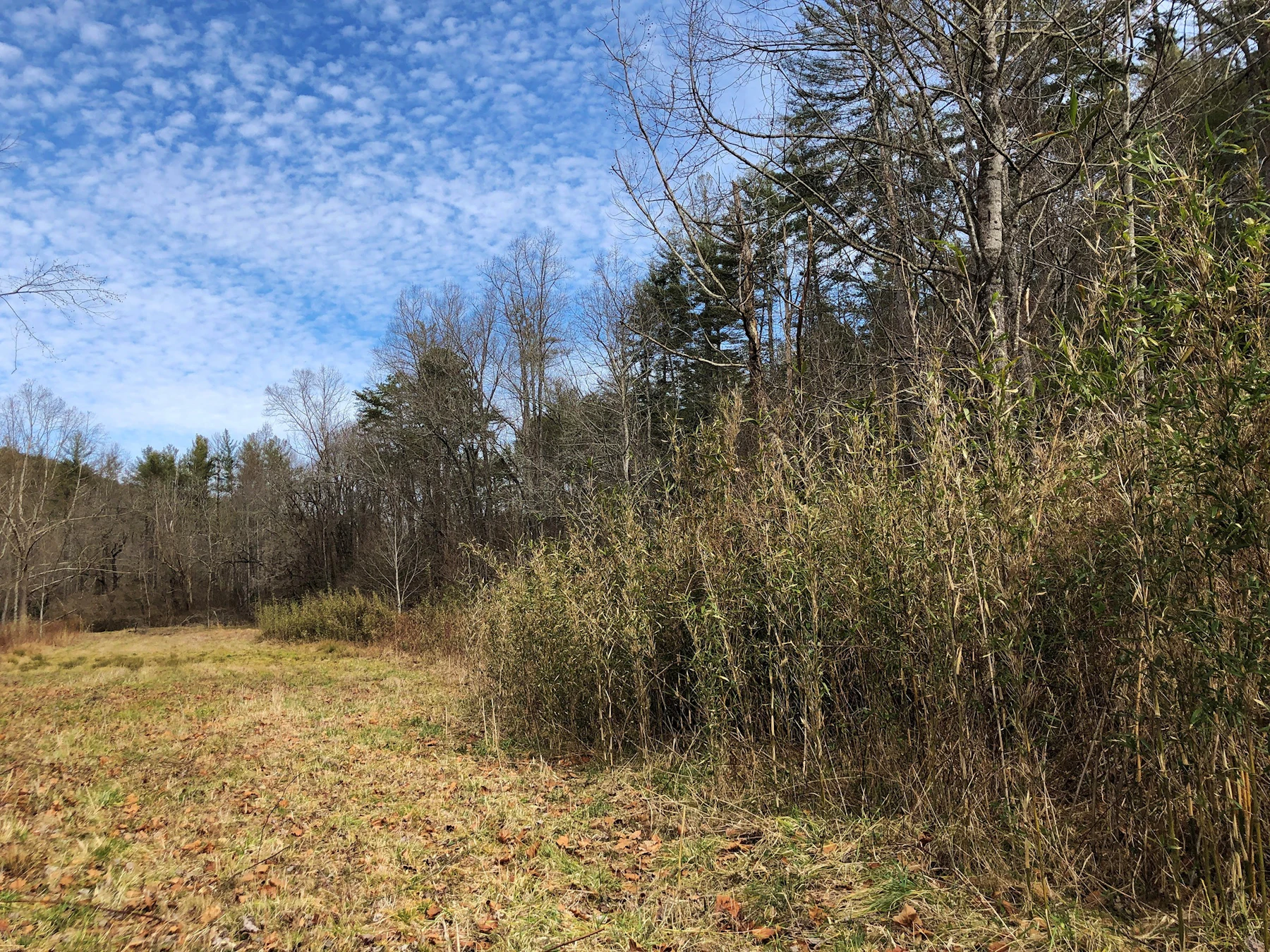 Sumter Nf Chattooga Conservancy 1