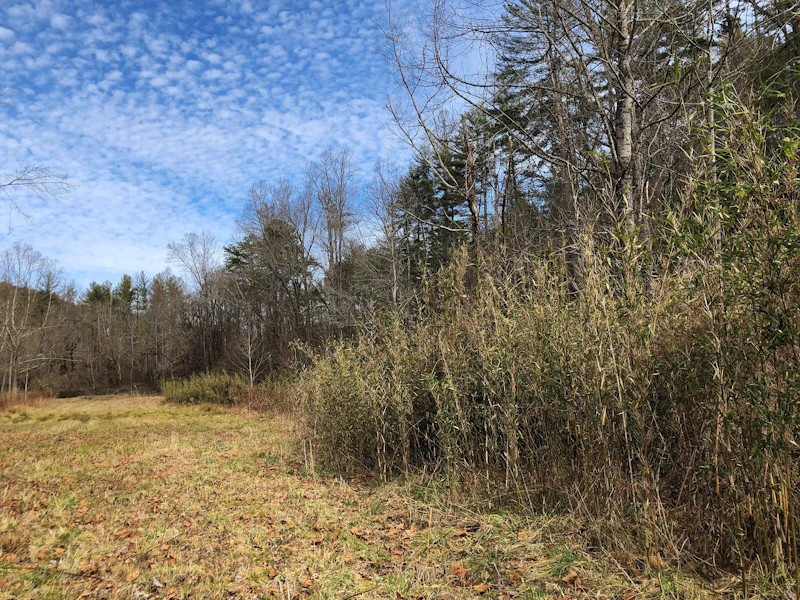 Sumter Nf Chattooga Conservancy 1