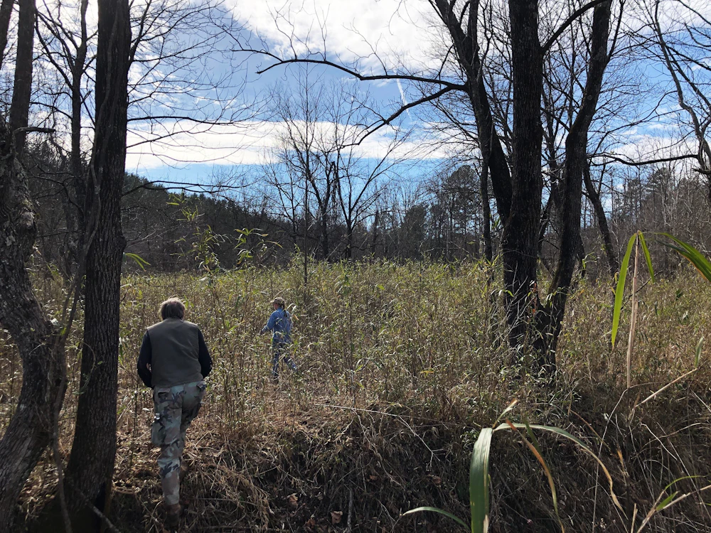 Sumter Nf Chattooga Conservancy 3