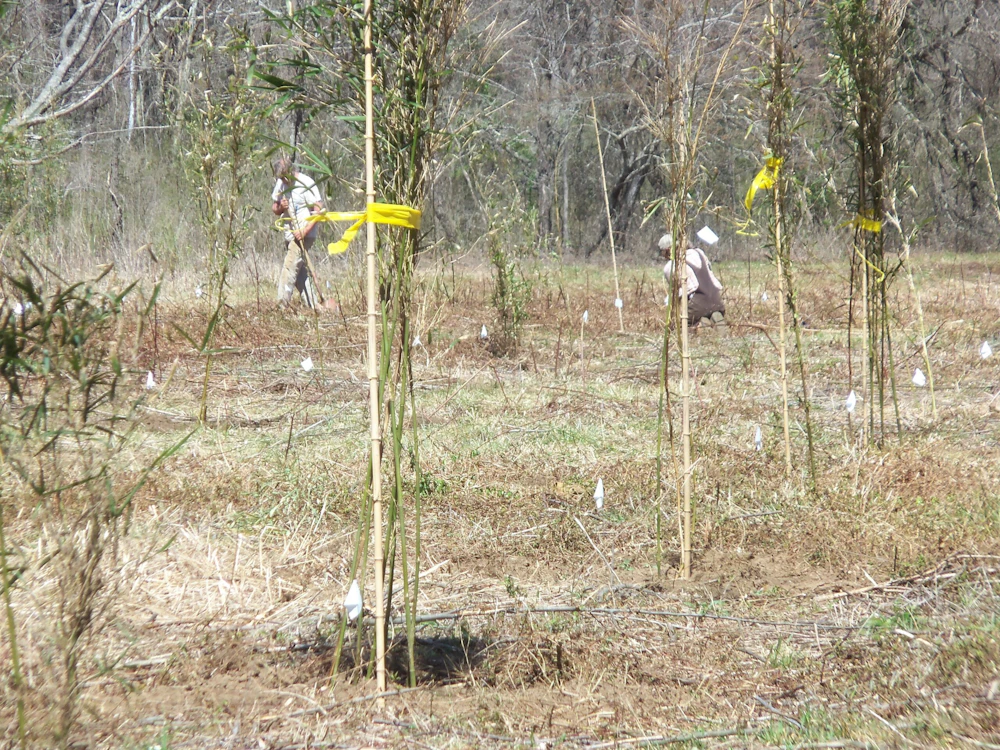 Sumter Nf Chattooga Conservancy 5