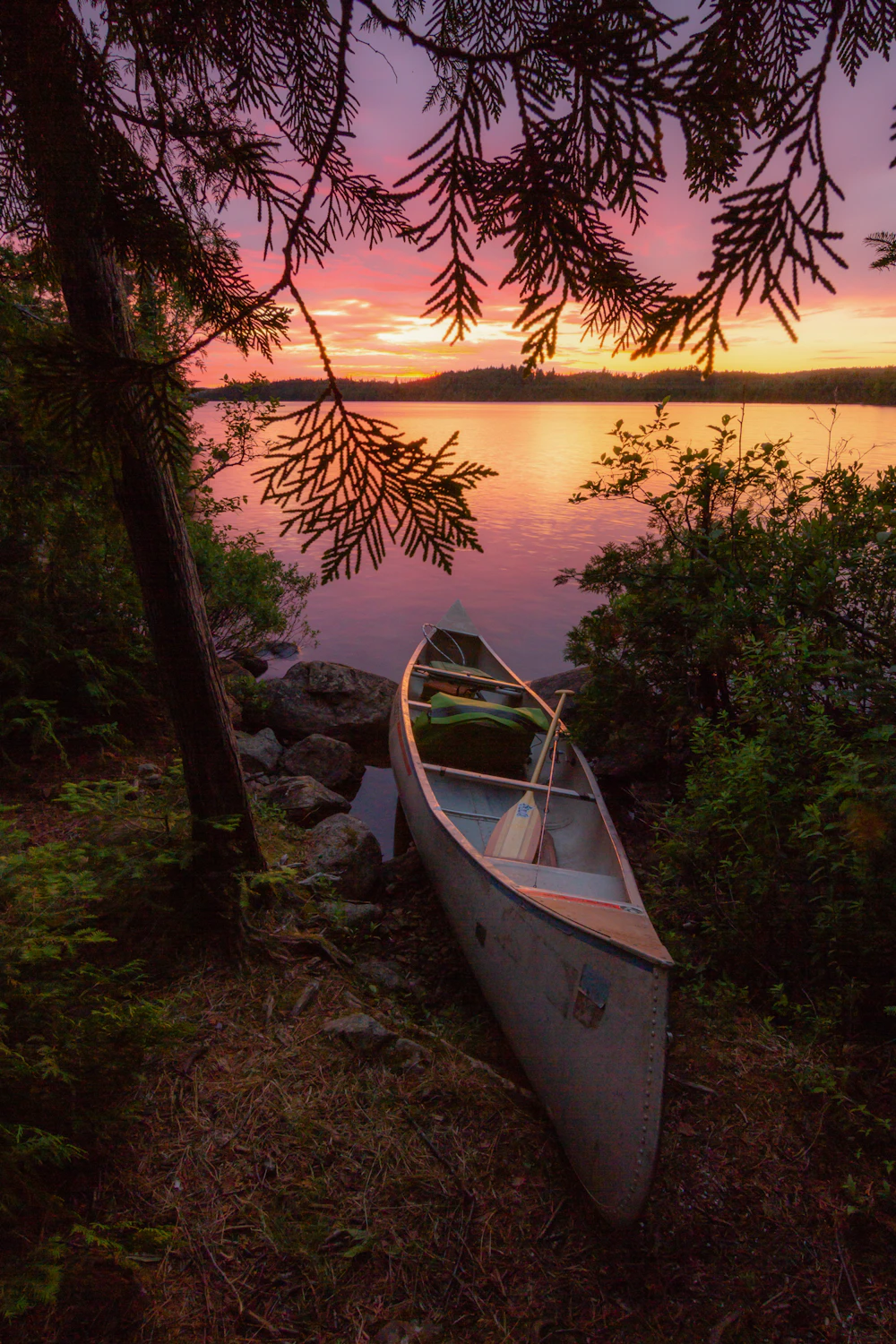 Superior Nf Bwcaw Thomas Spence 368