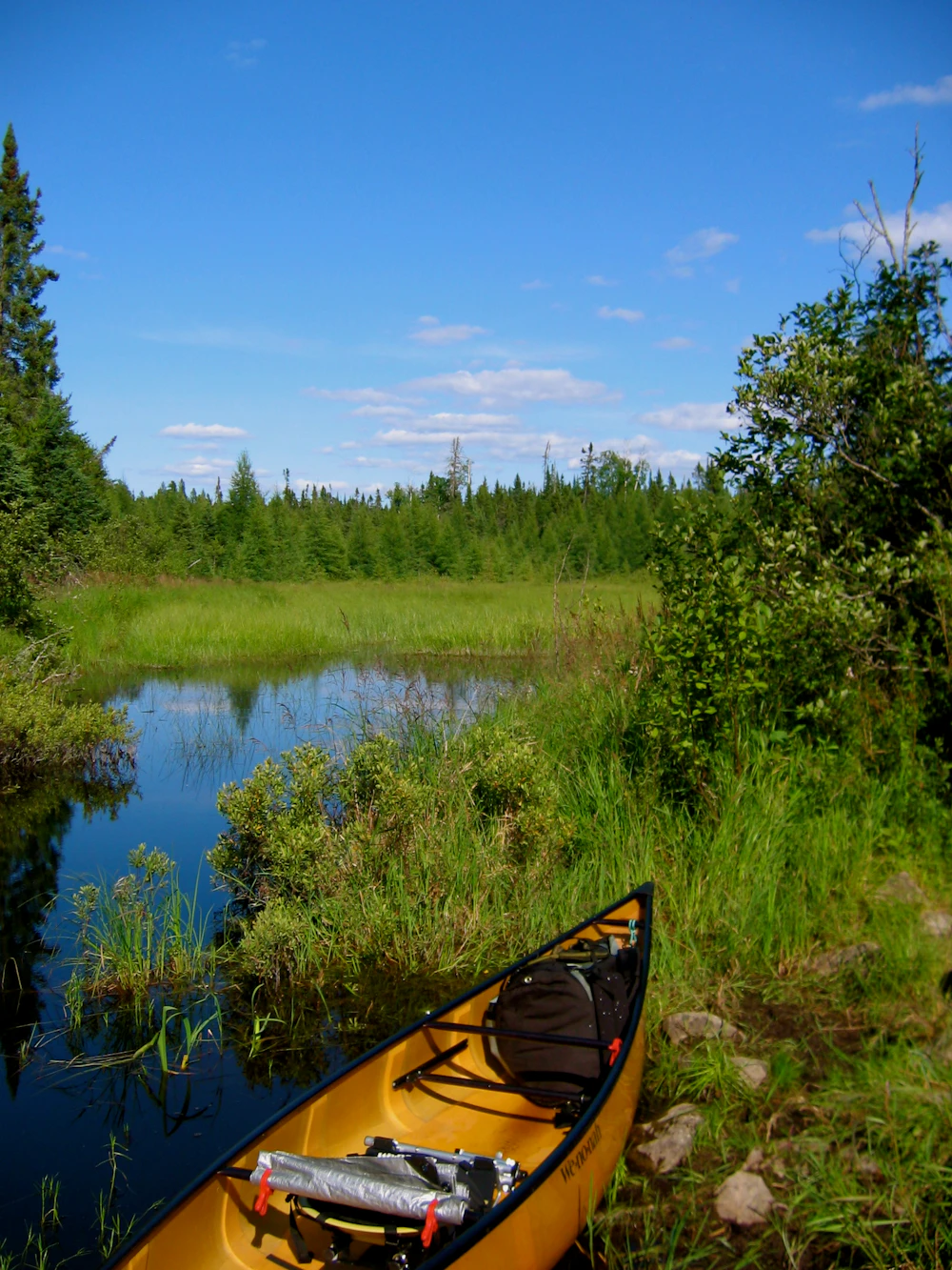 a canoe sits near a water and pond
