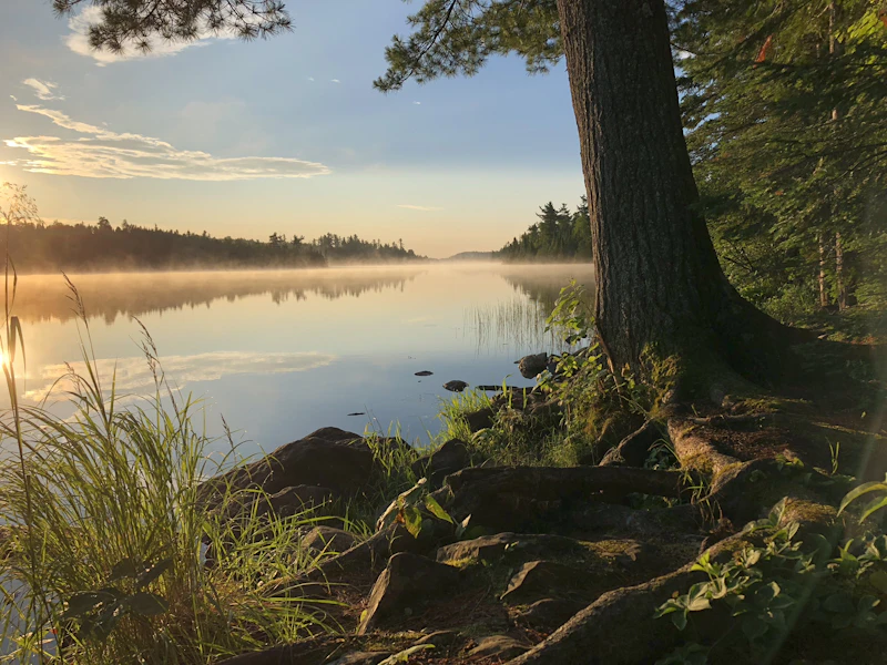 Lake shore.