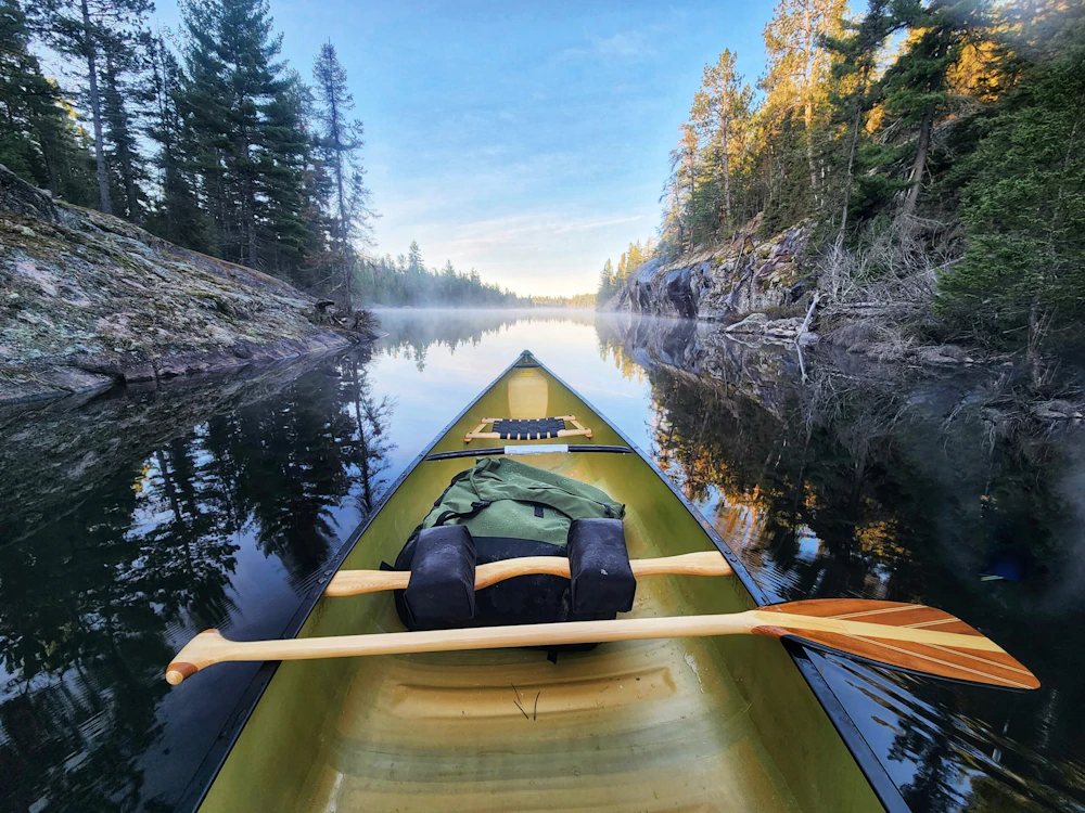 view from a canoe in the water in the forest