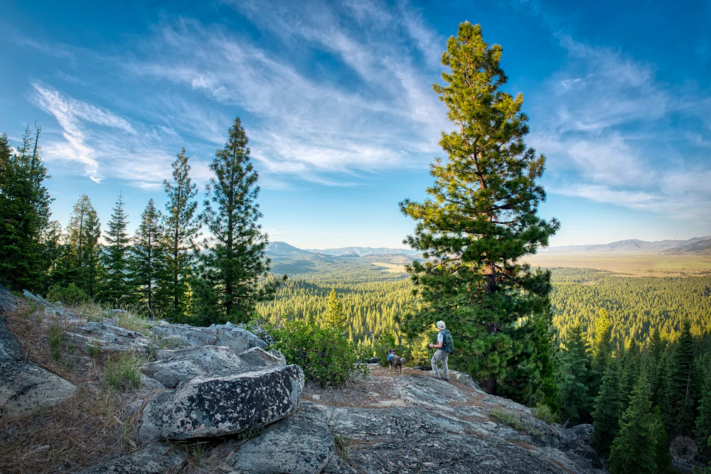 Tahoe NF Calpine LO Terry Musgrove CREDIT 3