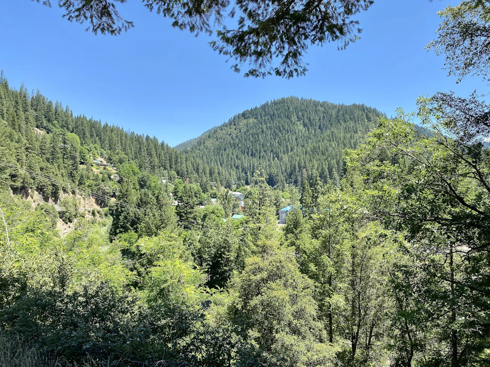 Tahoe NF Downieville USFS