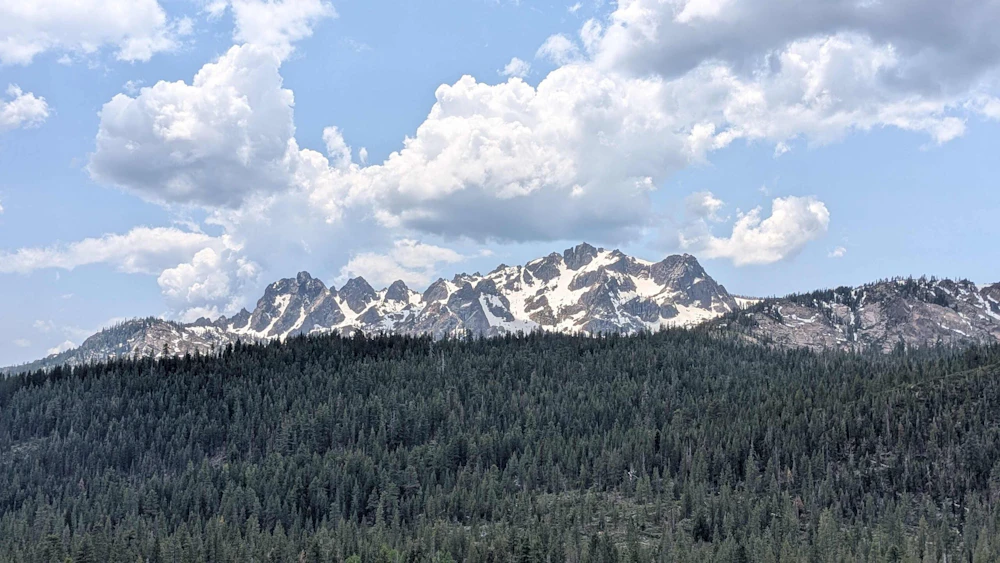 Tahoe NF Sierra Buttes NFF