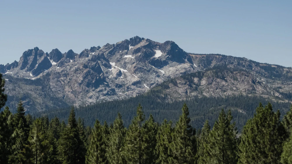 Tahoe NF Yuba Project NFF