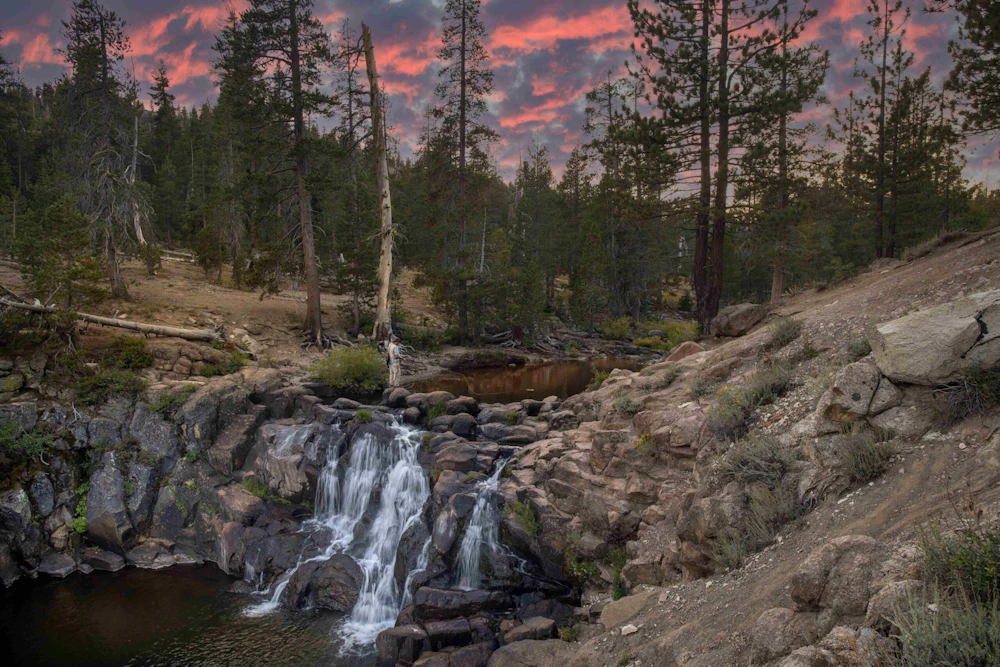 Tahoe Phil Reedy 14470