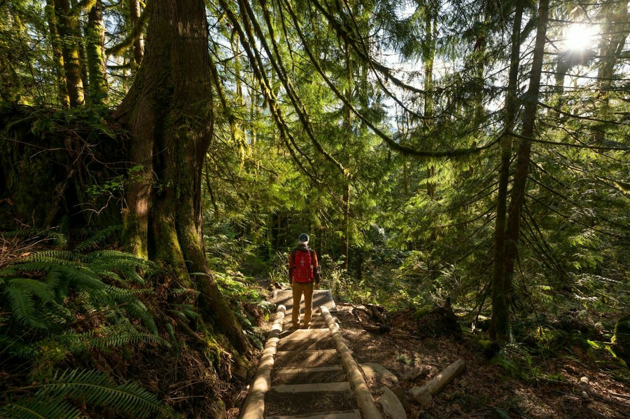 Five Best Beginner Hikes in the Mount Baker-Snoqualmie National Forest ...