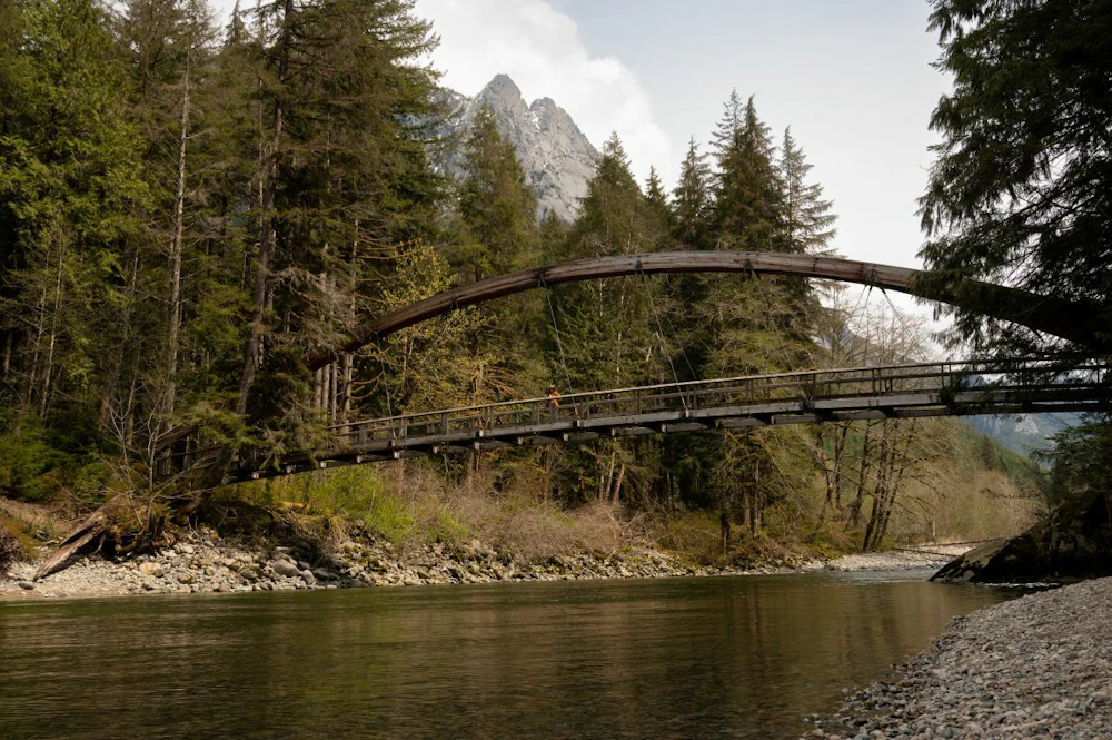 a large bridge over a wide river in the forest