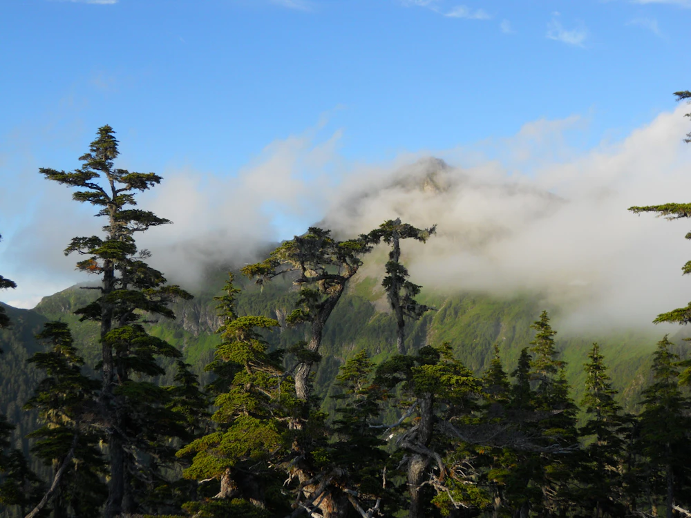 Tongass-NF Harbor-Mountain USFS-Pat-Heuer