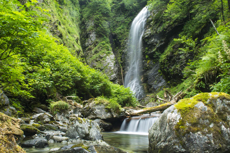 Mossy waterfall.