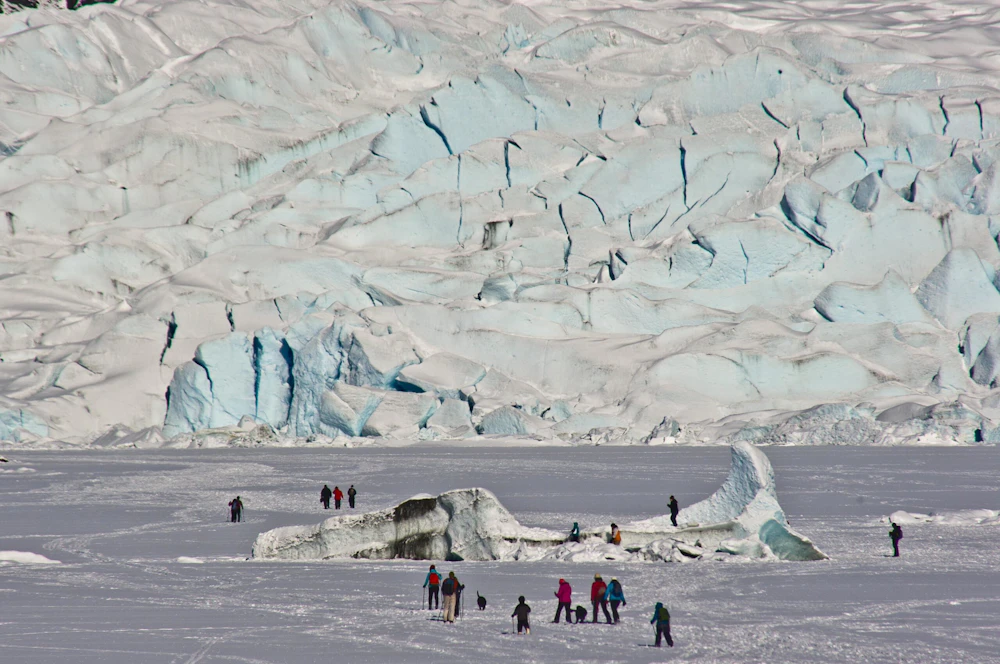 Tongass Nf Mendenhall Glacier Rick Metcalf