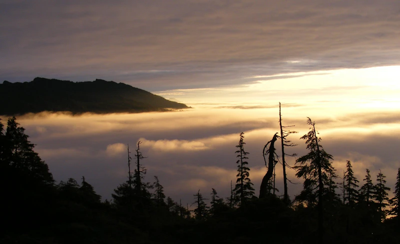 Tongass-NF Prince-of-Wales-Island USFS
