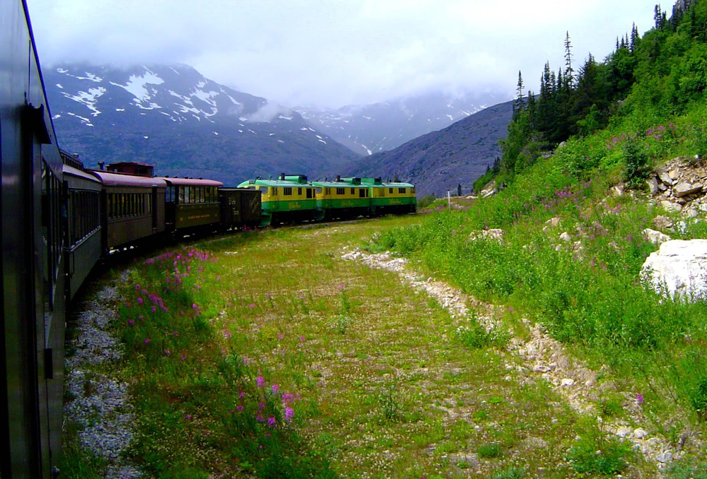 Tongass Nf White Pass