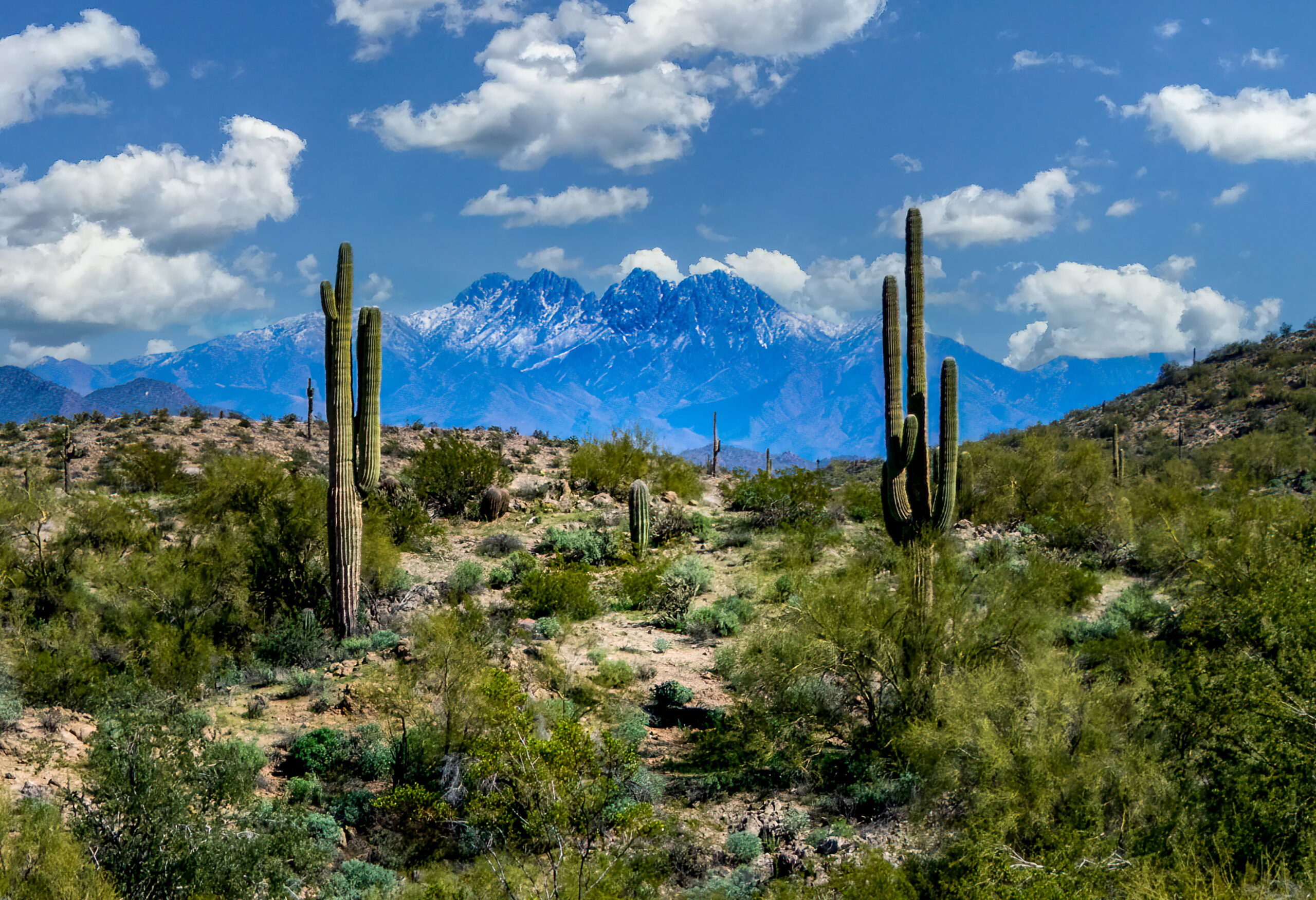 Tonto National Forest — National Forest Foundation