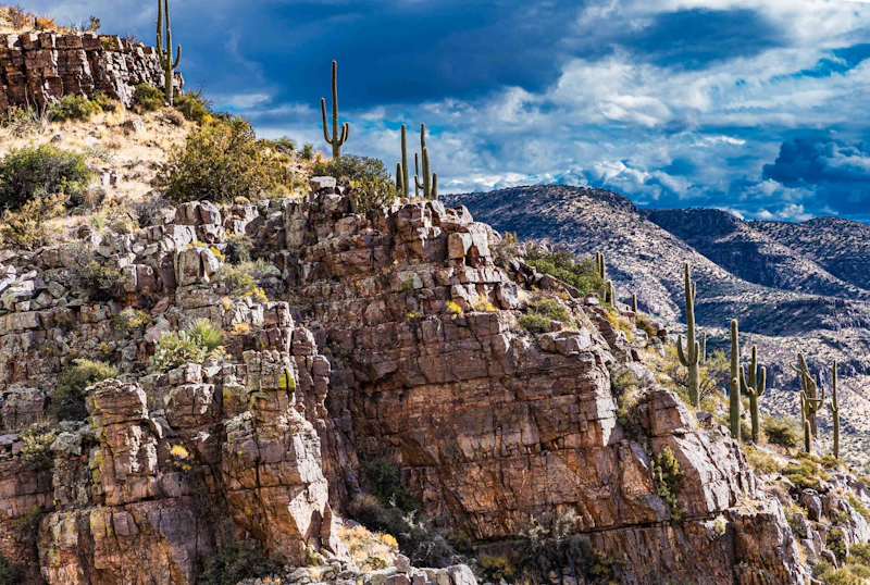 sheer cliffs covered in cacti.