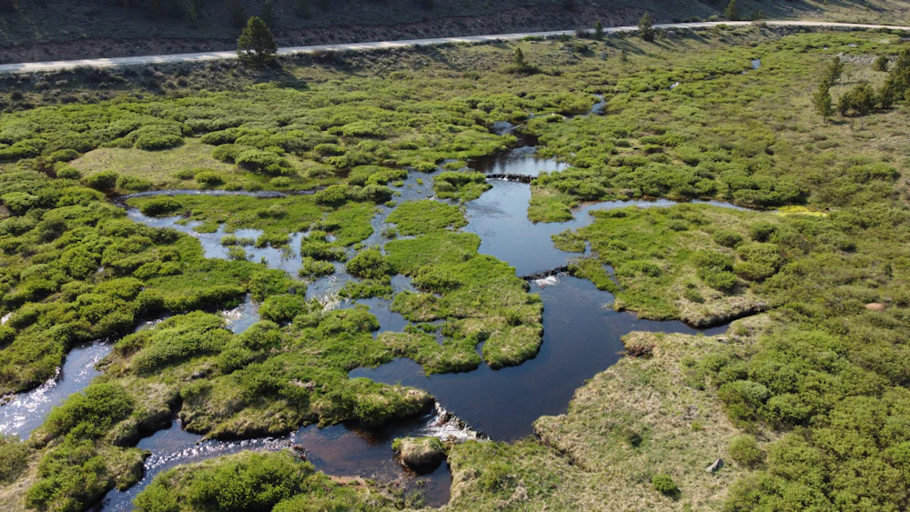 Trail Creek Aerial 2 Eco Metrics
