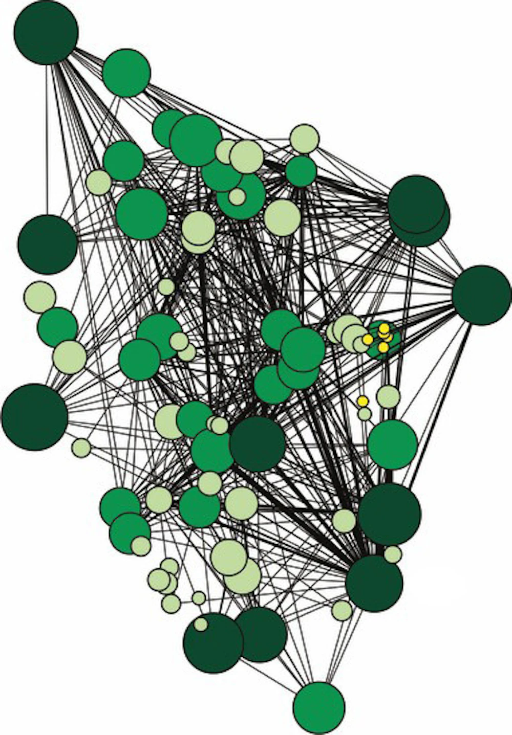 Tree Connections Beiler Et Al2010 Kb