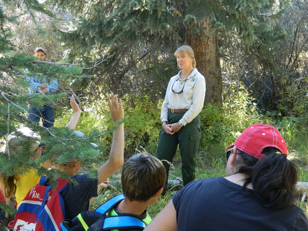 Usfs Ranger
