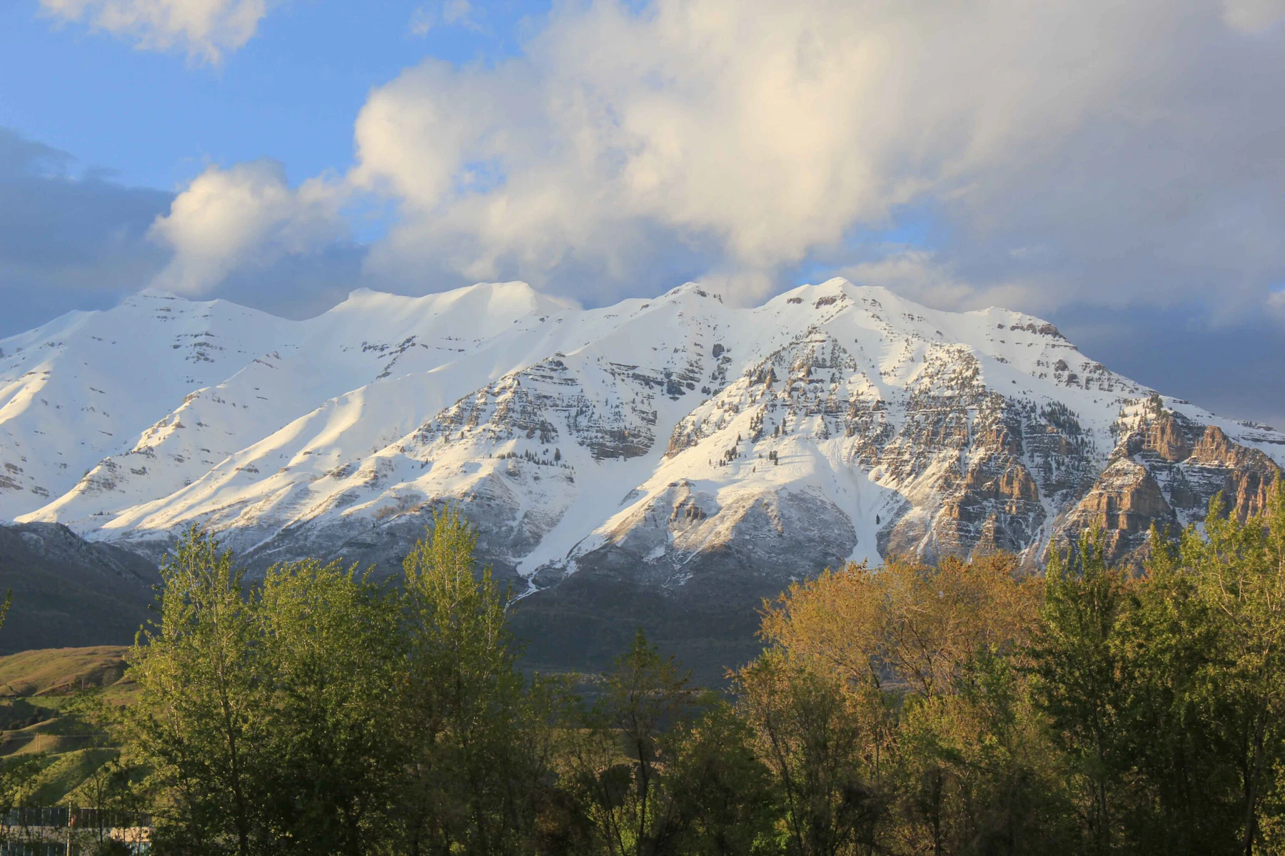 snow covered mountains in front of trees