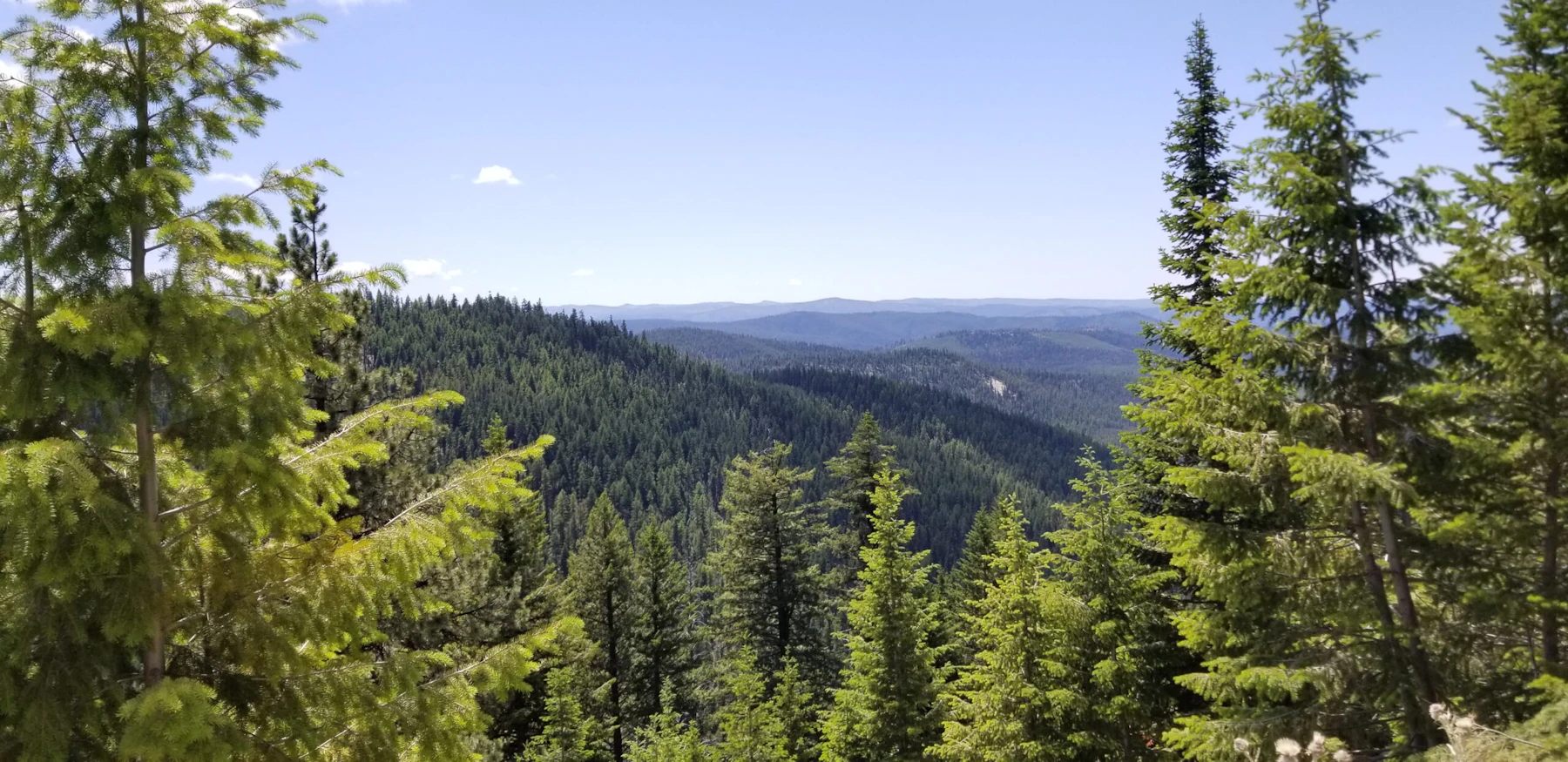 Mountains.