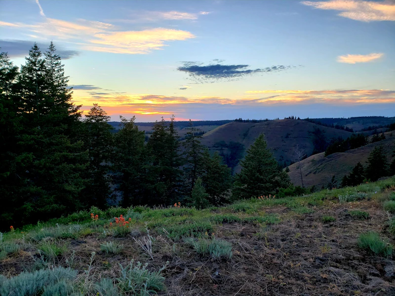 Sunset.
