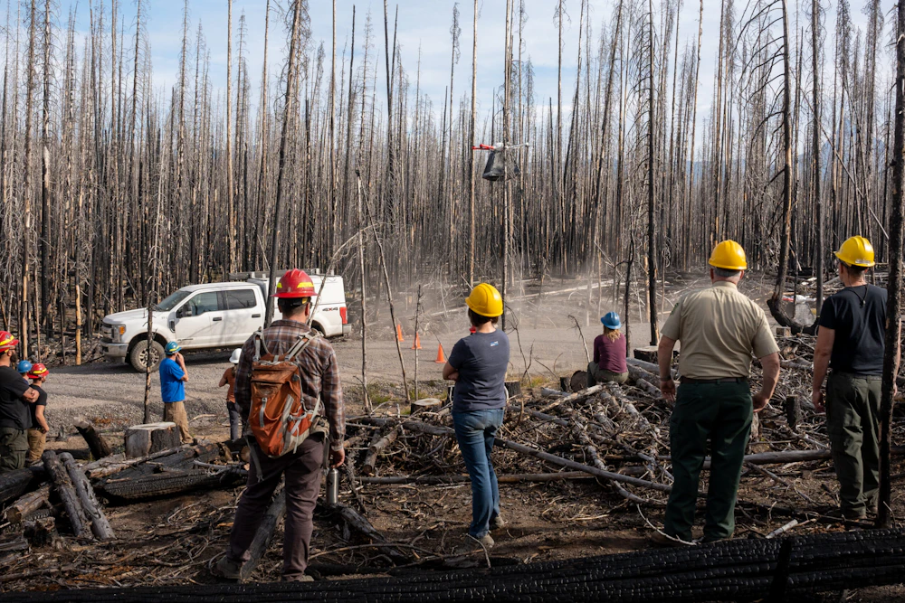 Umpqua USFS Rodeo 75